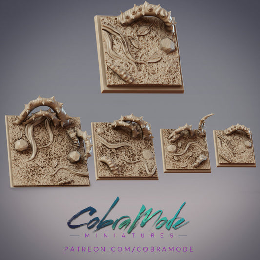 Thorny Square Bases